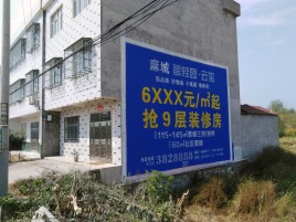 册亨墙体广告质量分析