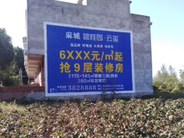 册亨品牌公司青睐的墙体广告