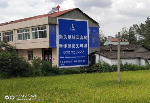 册亨决定墙体广告价格的因素有哪些？