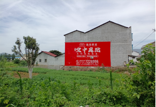 册亨做墙体广告的意义