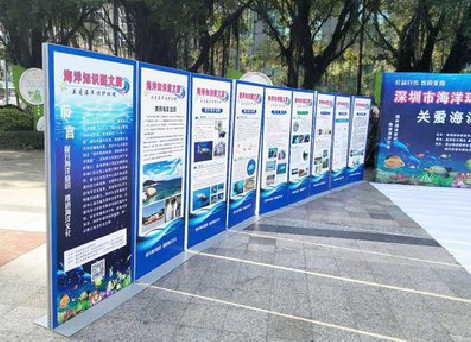 册亨KT板的种类和知识。